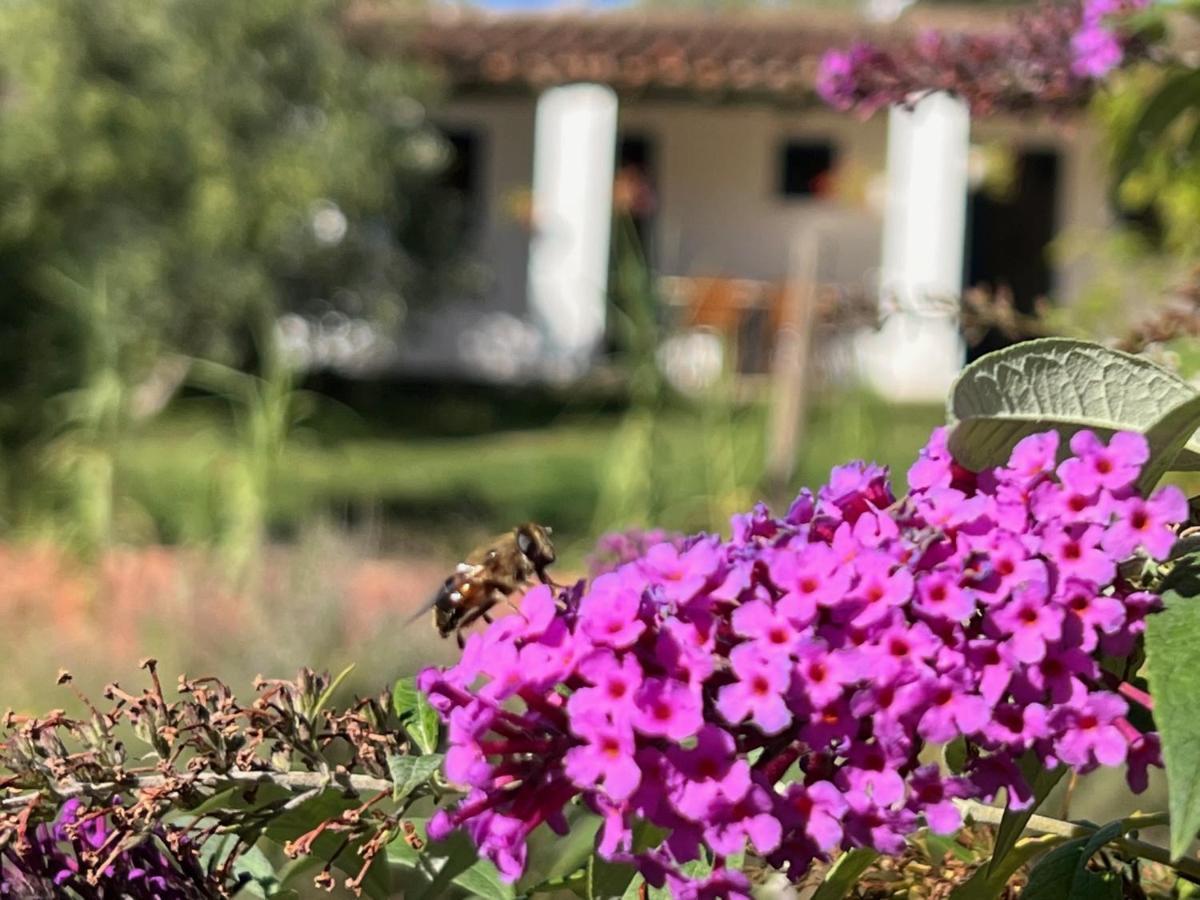 Camping Bungalows Armalygal Murillo de Gállego Esterno foto