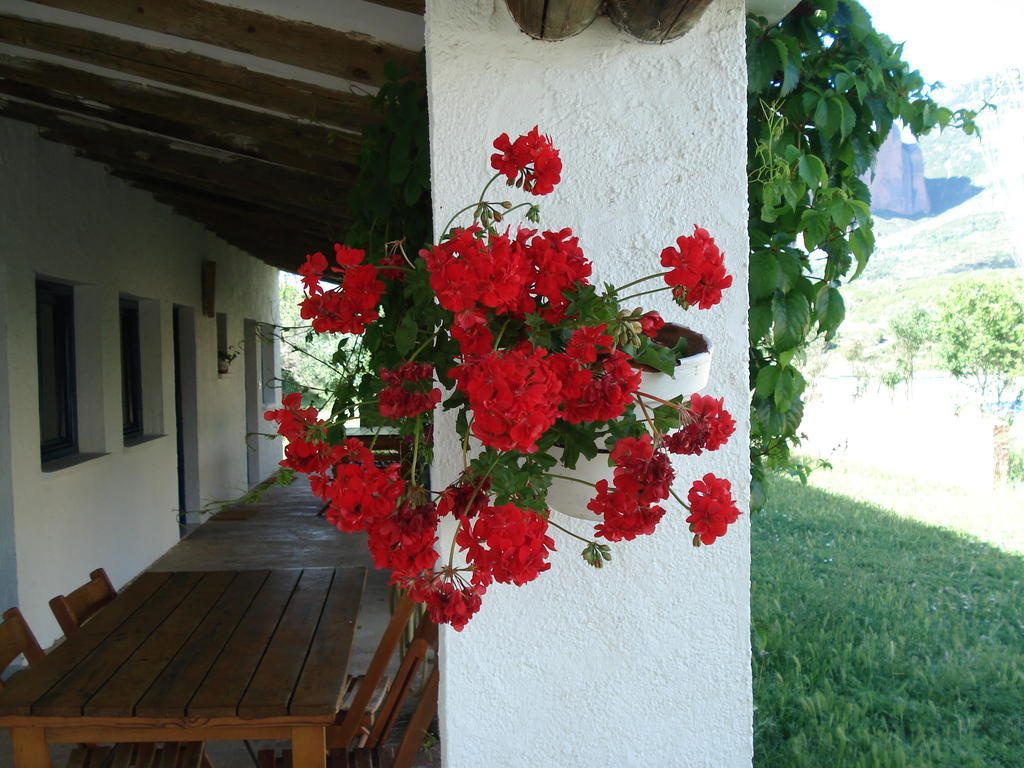Camping Bungalows Armalygal Murillo de Gállego Camera foto